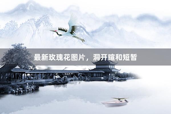 最新玫瑰花图片，洞开暄和短暂